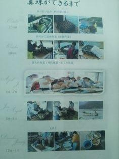 真珠ができるまでをパネルで紹介