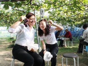 もぎたてのぶどうはとてもおいしかったです